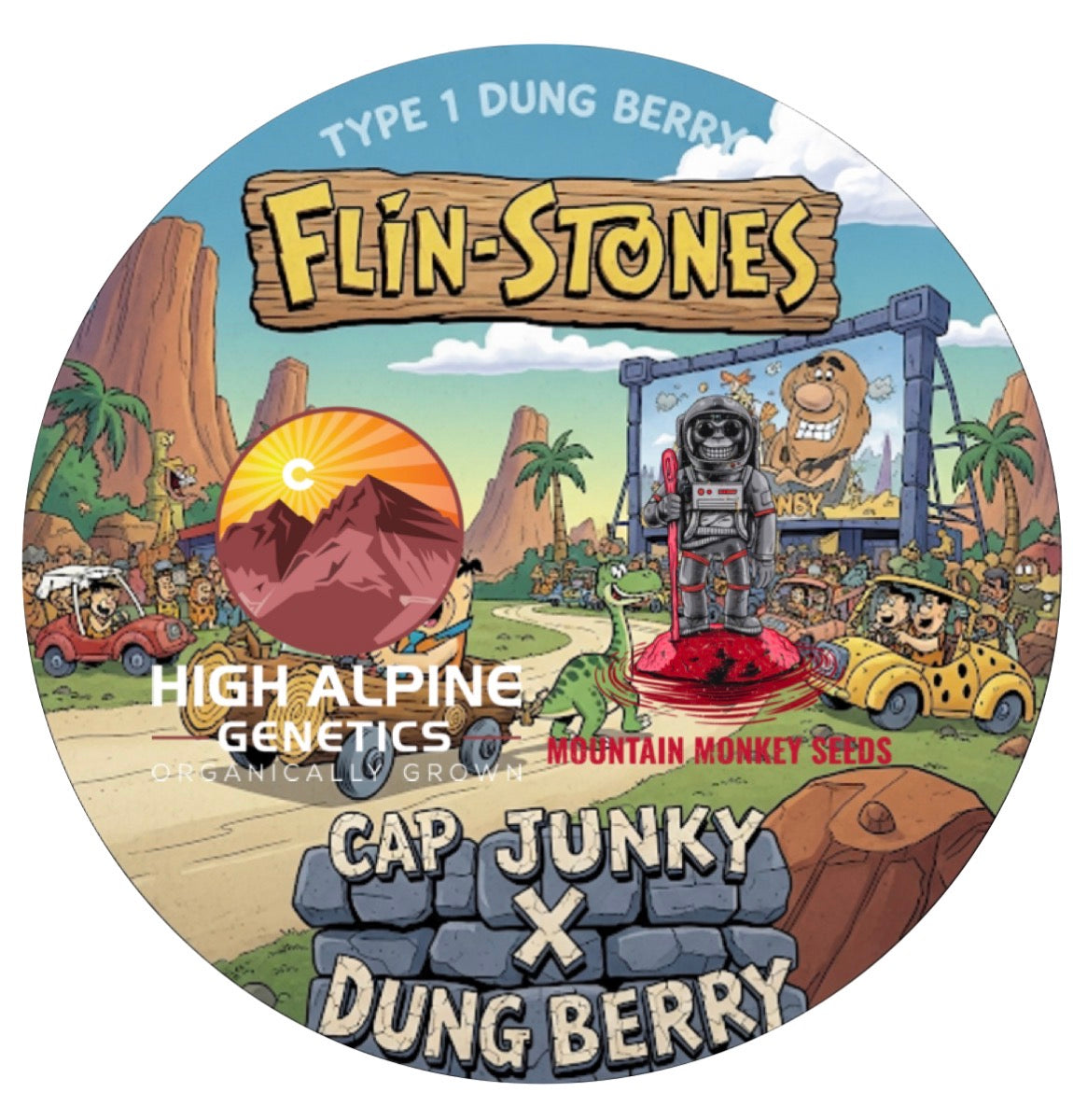 Flinstones 20 feminized type 1 seed from the Dung Berry line
