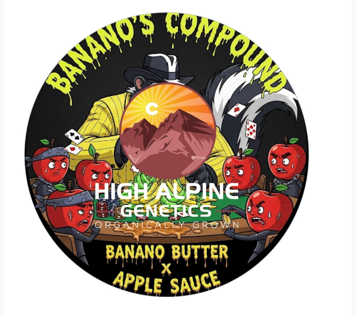 Banano’s Compound (Apple Sauce Feminized Type 3 CBD)