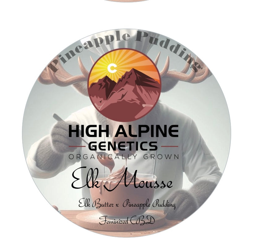 Elk Mousse Feminized Type 3 CBD Seeds (Pineapple Pudding Line)