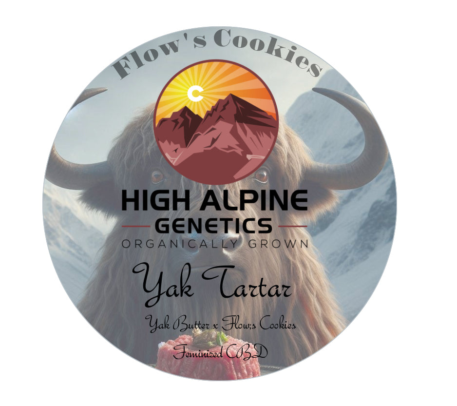 Yak Tartar Feminized Type 3 Seeds (Flow's Cookies Line) Limited Seeds. Not available in the Monster Mash