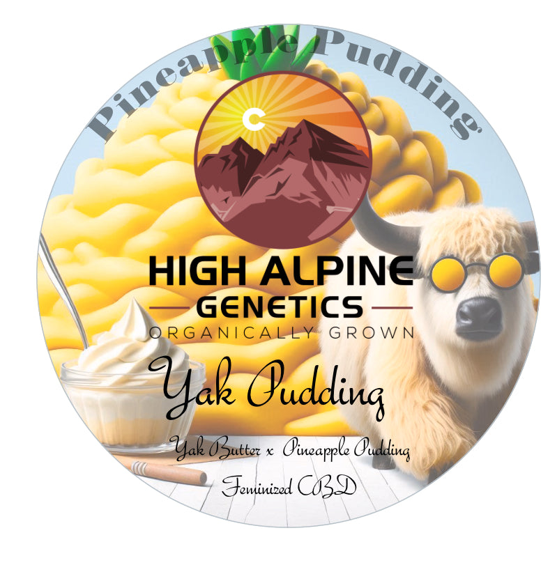 Yak Pudding Feminized Type 3 CBD Seeds (Pineapple Pudding Line)