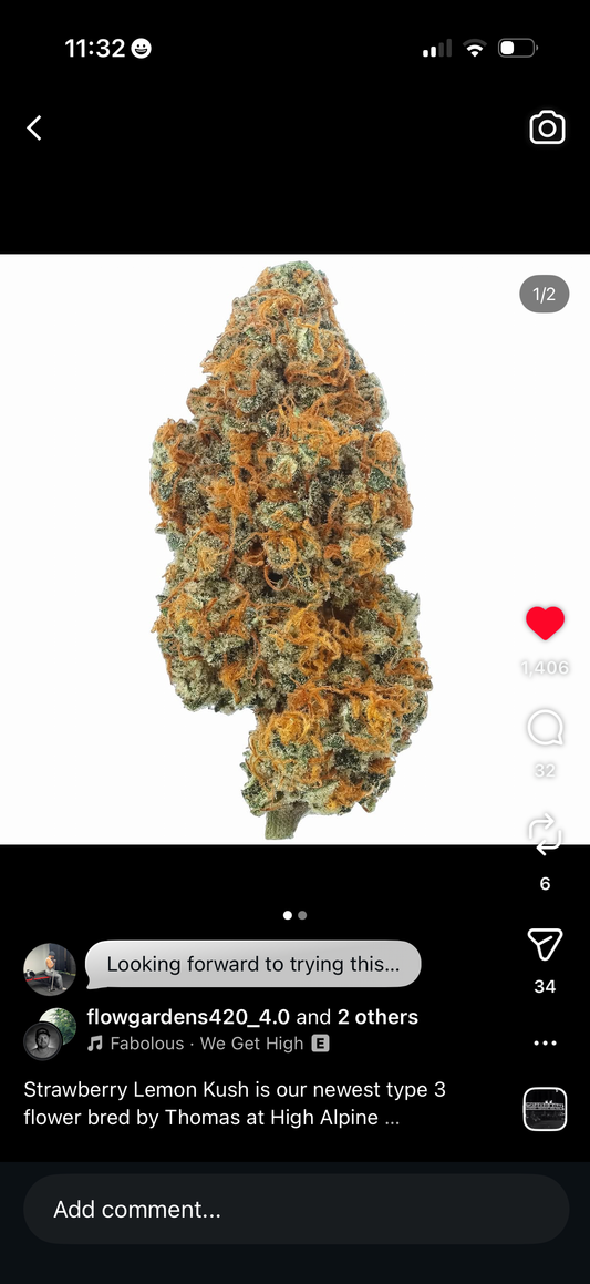Strawberry Lemonade Kush Feminized Type 3 CBD Seeds (Strawberry Chem Line)