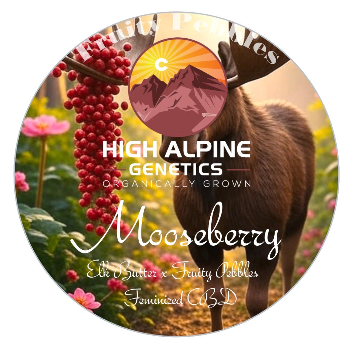 Mooseberry Feminized Type 3 CBD Seeds (Fruity Pebbles Line)