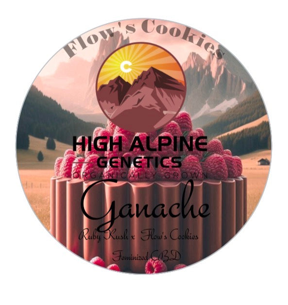 Ganache Feminized Type 3 CBD Seeds (Flow's Cookies Line)