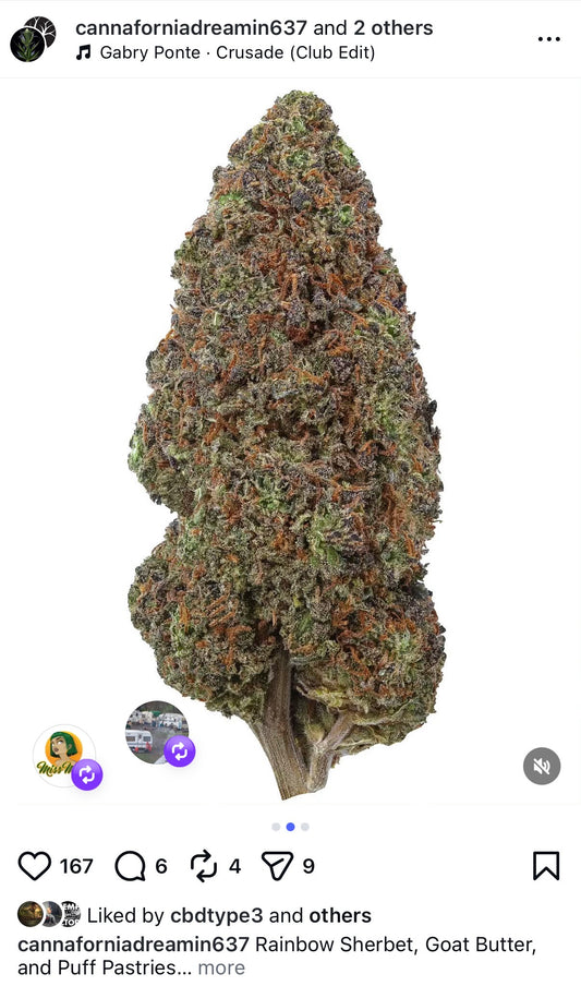 Goat Butter Feminized Type 3 CBD Seeds (Flow's Cookies Line) Not eligible for Monster Mash
