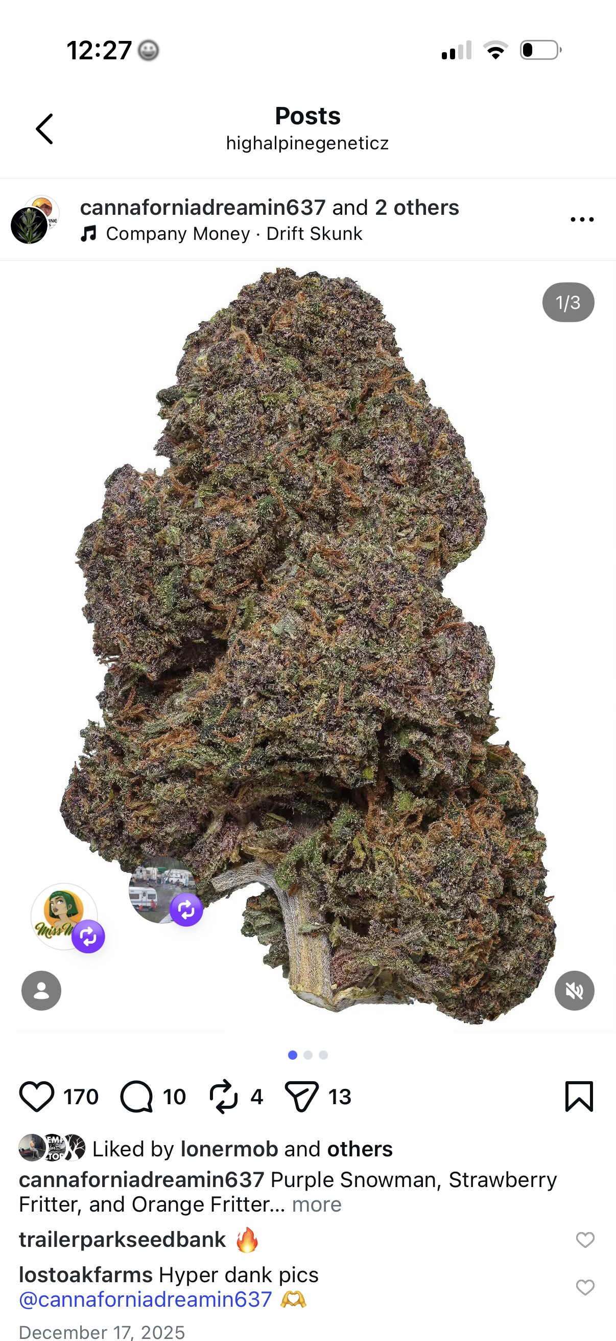 Purple Snowman (Blood Orange Diesel Line Type 3 CBD)