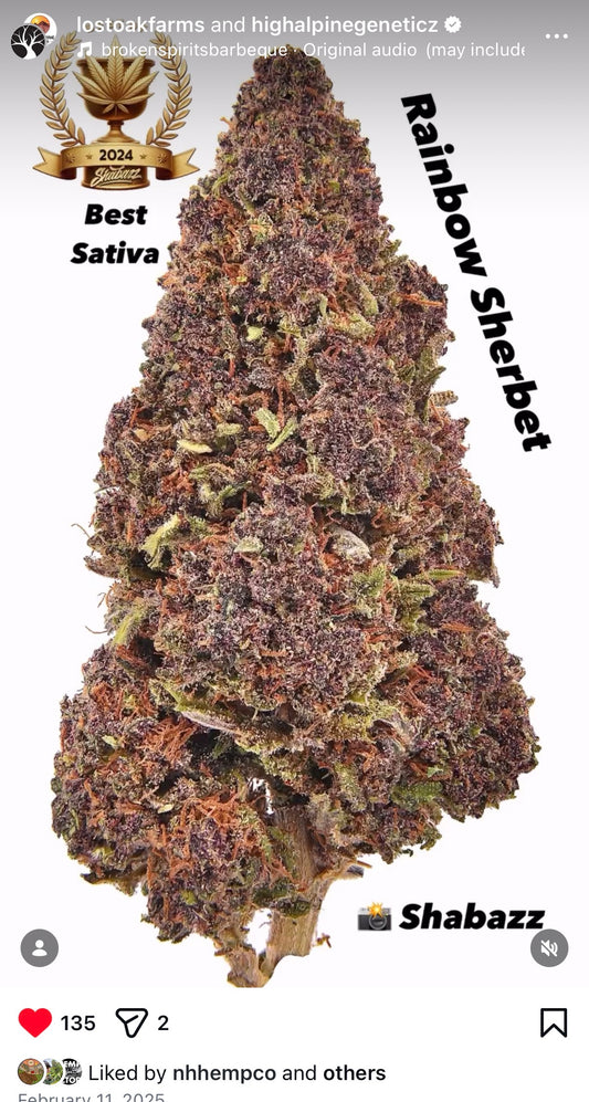 Rainbow Sherbet Feminized Type 3 CBD Seeds (Blood Orange Diesel Line). Limited. Not included in the Monster Mash.