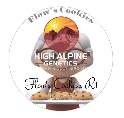 Flows Cookies R1 Feminized Type 3 CBD Seeds (Flows Cookies Line)