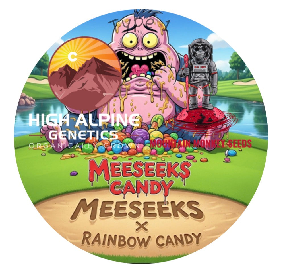 MeeSeeks Candy 10 Feminized Seed (Type 1 Autoflower)
