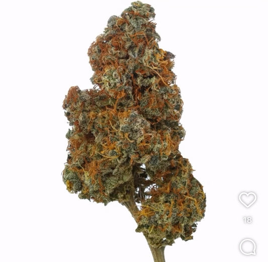 Buck Nasty Feminized Type 3 CBD Seeds (Payton's Lemons Line)