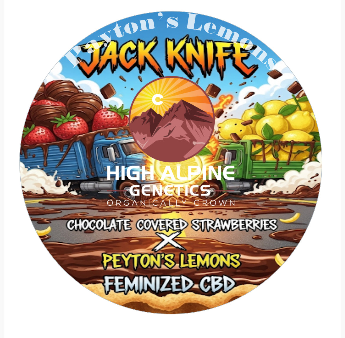 Jack Knife Feminized CBD Seeds (Payton's Lemons Type 3)