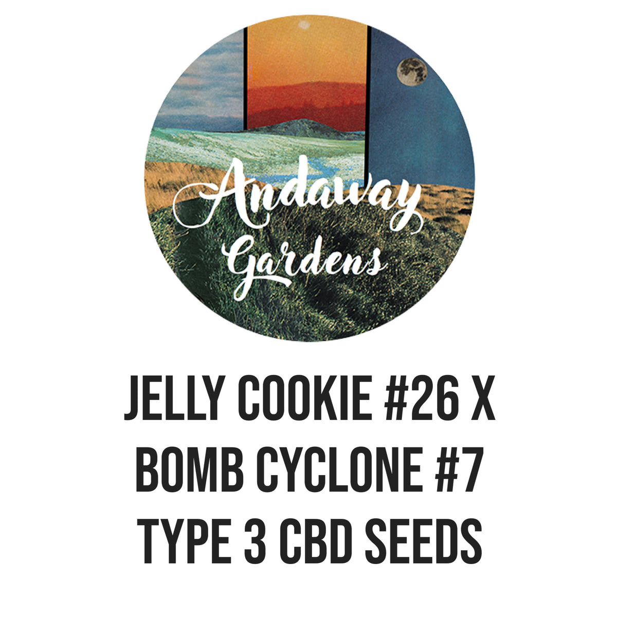 Jelly Cookie #26 X Bomb Cyclone #7 Type 3 Seed