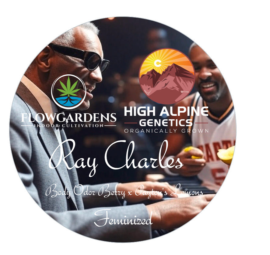 Ray Charles 20 Feminized Type 2 Seeds (Payton’s Lemons Line)