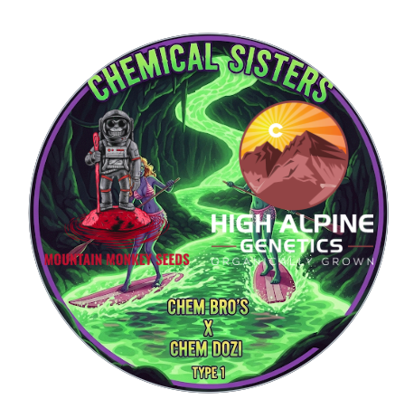 Chemical Sisters (Chem Dozi Line Type 1) 10 Seeds