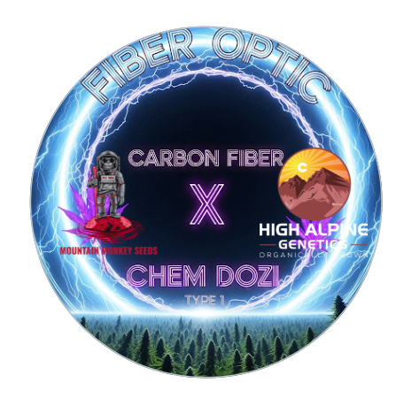 Fiber Optic 20 Feminized Seed (Chem Dozi Line Type 1)