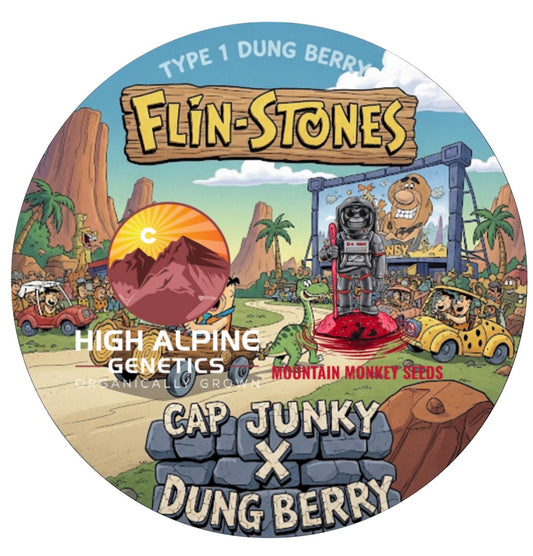Flinstones 20 feminized type 1 seed from the Dung Berry line