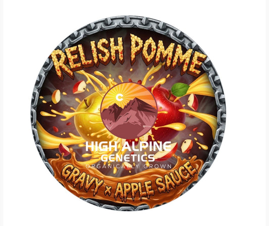 Relish Pomme (Apple Sauce  Feminized Type 3  CBD)