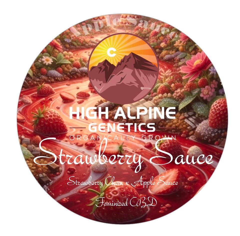 Strawberry Sauce (Apple Sauce Feminized Type 3 CBD)