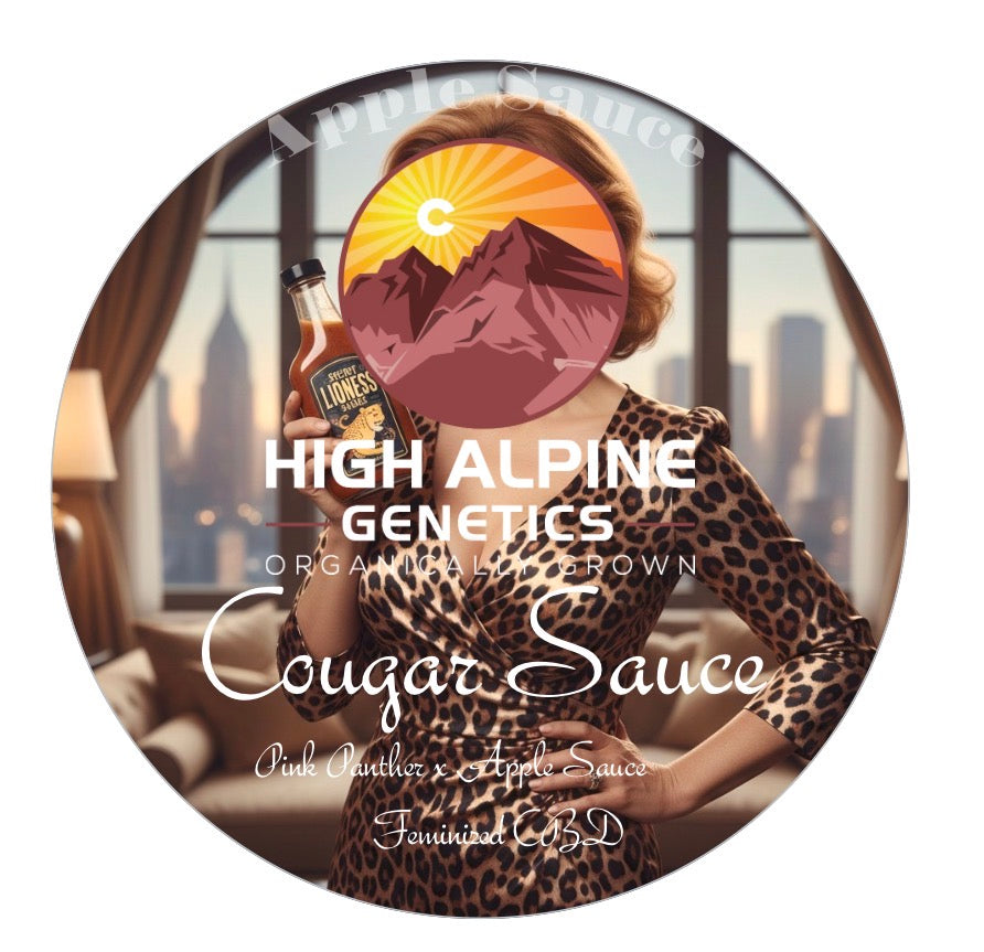 Cougar Sauce (Apple Sauce Feminized Type 3 CBD)