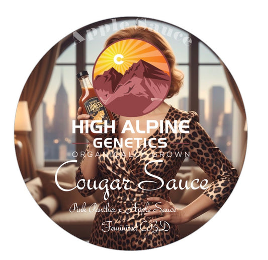 Cougar Sauce (Apple Sauce Feminized Type 3 CBD)