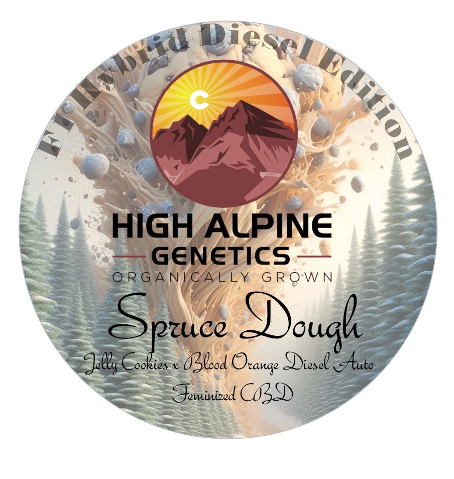 Spruce Dough (Blood Orange Diesel F1 Hybrid Feminized Type 3 CBD)