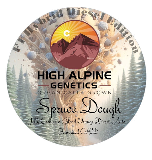Spruce Dough (Blood Orange Diesel F1 Hybrid Feminized Type 3 CBD)