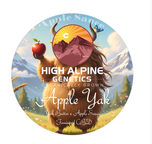 Apple Yak (Apple Sauce Feminized Type 3 CBD)