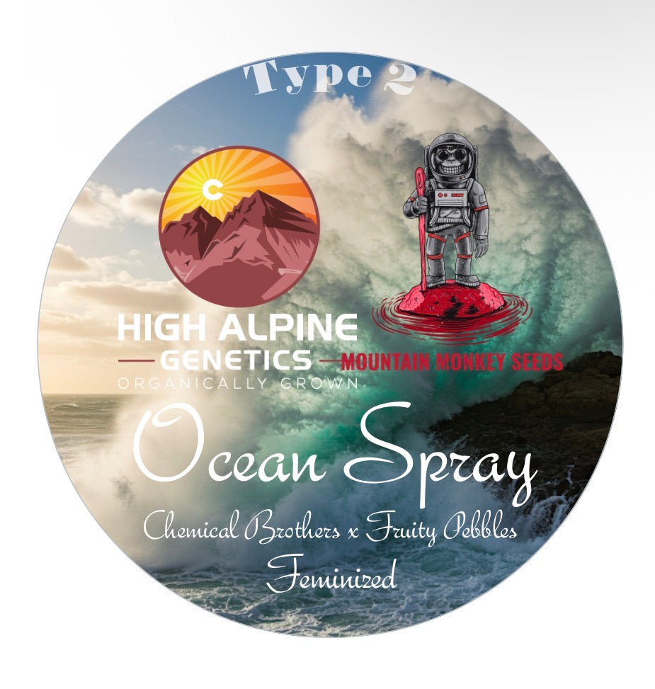 Ocean Spray 10 Feminzed Type 2 Seeds