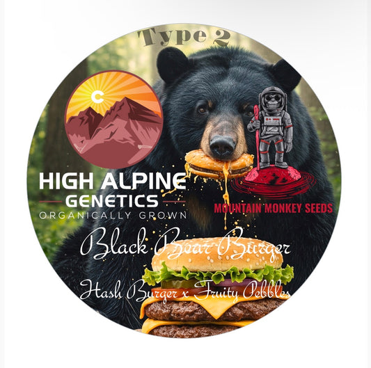 Black Bear Burger 10 Feminized Type 2 Seeds