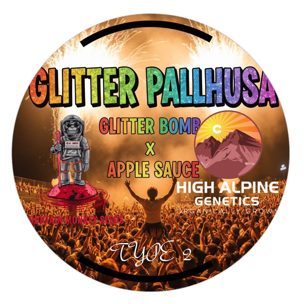 Glitter Pallhusa 10 Feminized Seeds (Type 2)