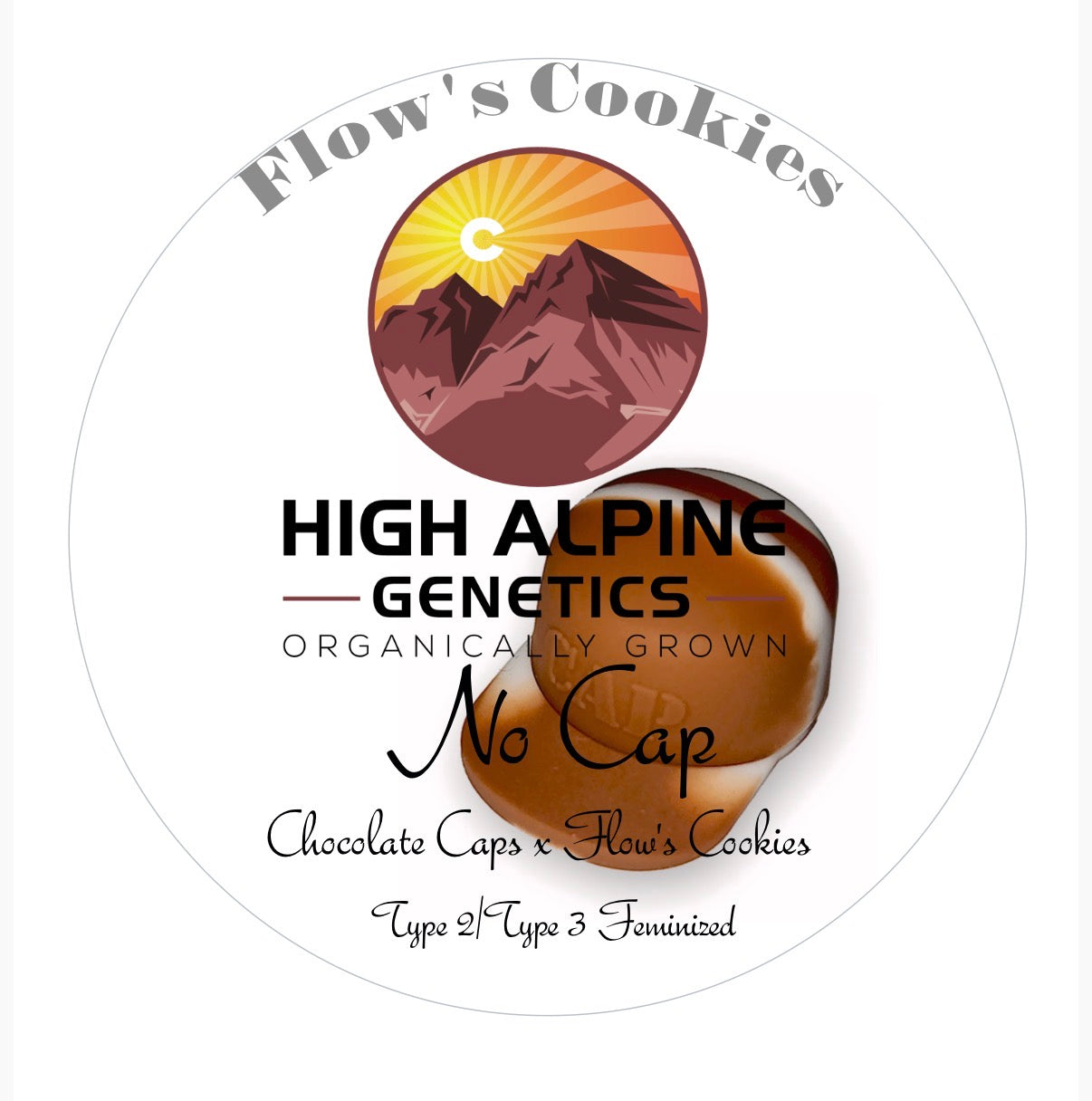 No Cap 20 Feminized Type 2 Type 3 Seeds