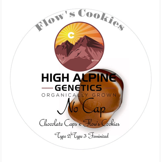 No Cap 20 Feminized Type 2 Type 3 Seeds