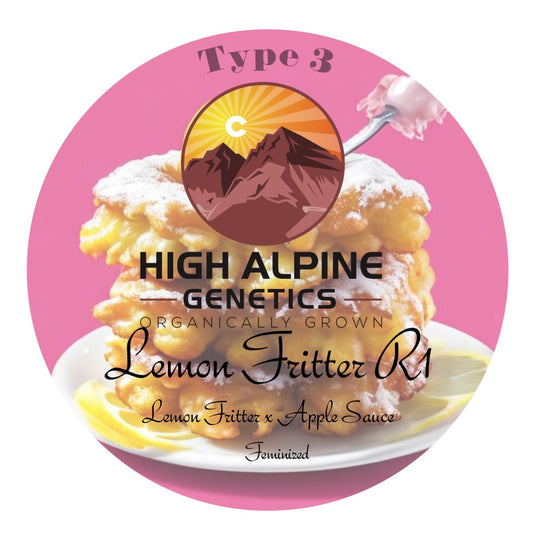 Lemon Fritter R1 Feminized 10 Seed pack Type 3 CBD Seeds (Apple Sauce). NOT eligible for Monster Mash.