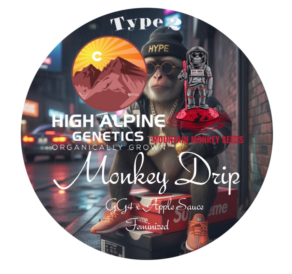 Monkey Drip 10 Feminized Type 2 Seed
