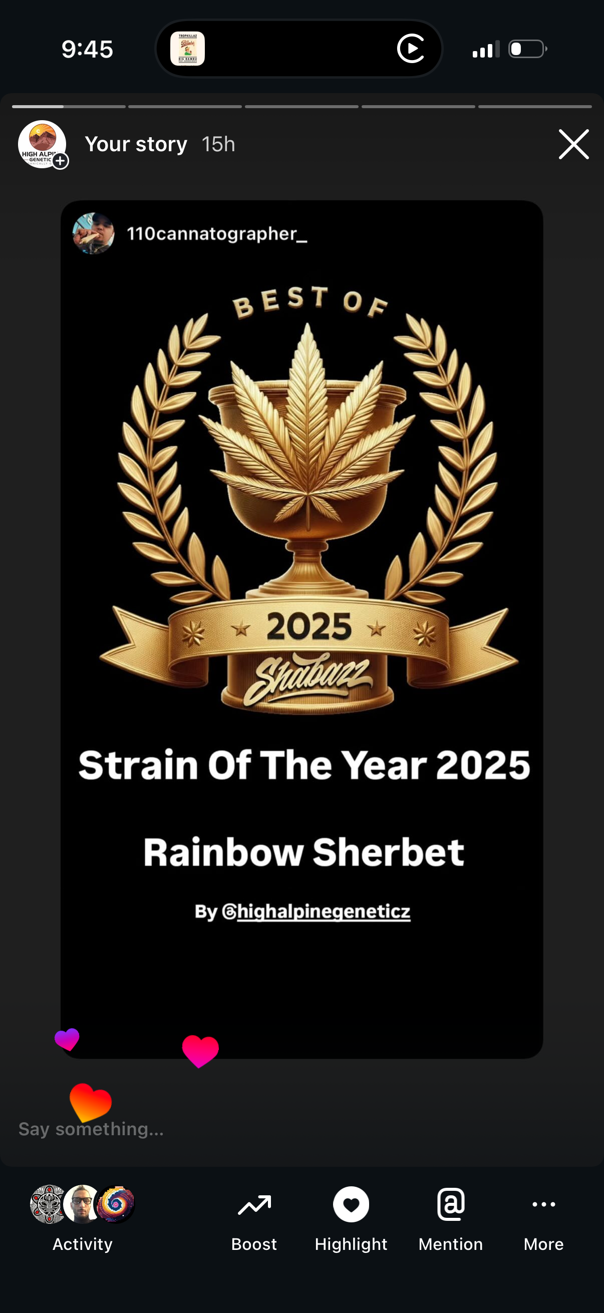 Rainbow Sherbet Feminized Type 3 CBD Seeds (Blood Orange Diesel Line).  Limited. Not included in the Monster Mash.