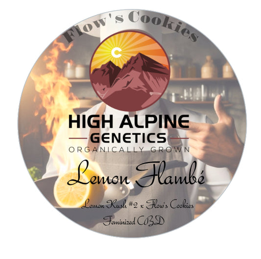 Lemon Flambe Feminized Type 3 CBD Seeds (Flow's Cookies Line)