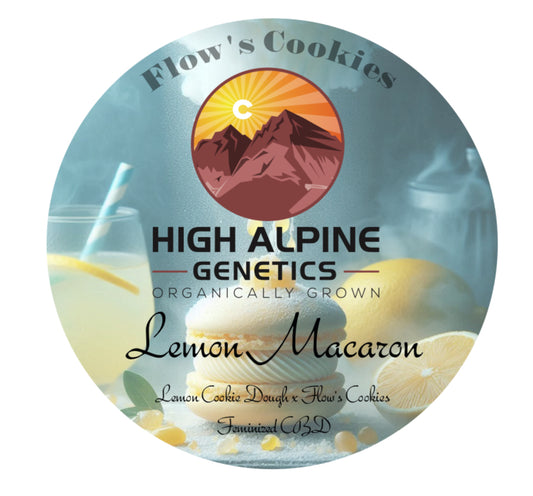 Lemon Macaron Feminized Type 3 CBD Seeds (Flow's Cookies Line)