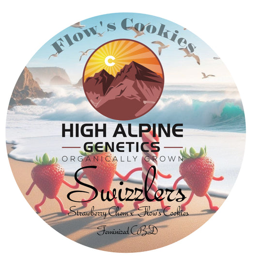 Swizzlers Feminized Type 3 CBD Seeds (Flow's Cookies Line)