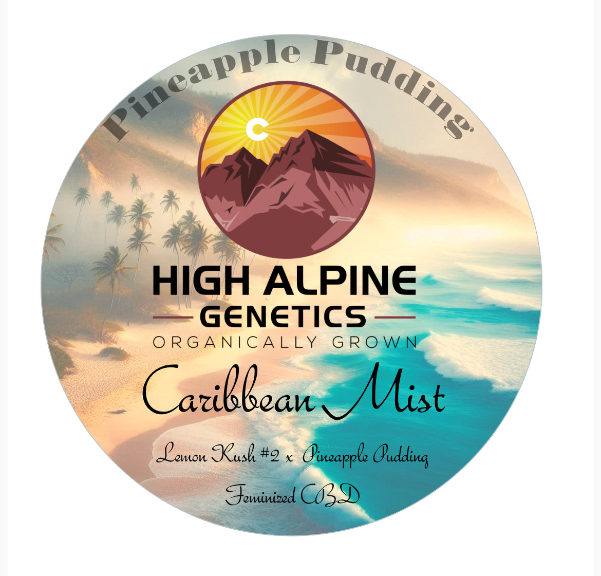 Caribbean Mist   Feminized Type 3 seeds  (Pineapple Pudding Line)