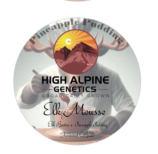 Elk Mousse    Feminized Type 3 CBD Seeds  (Pineapple Pudding Line)