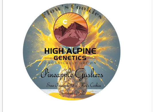 Pineapple Gushers   Feminized Type 3 CBD Seeds    (Flow's Cookies Line)