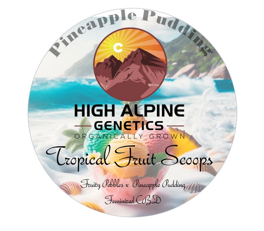 Tropical Fruit Scoops Feminized Type 3 CBD Seeds (Pineapple Pudding Line) not available for monster mash