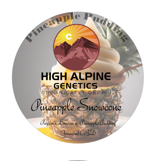 Pineapple Snowcone Feminized Type 3 CBD Seeds (Pineapple Pudding Line) Not available on Monster Mash
