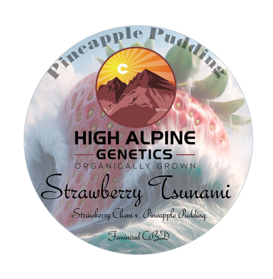 Strawberry Tsunami Feminized Type 3 CBD Seeds (Pineapple Pudding Line)