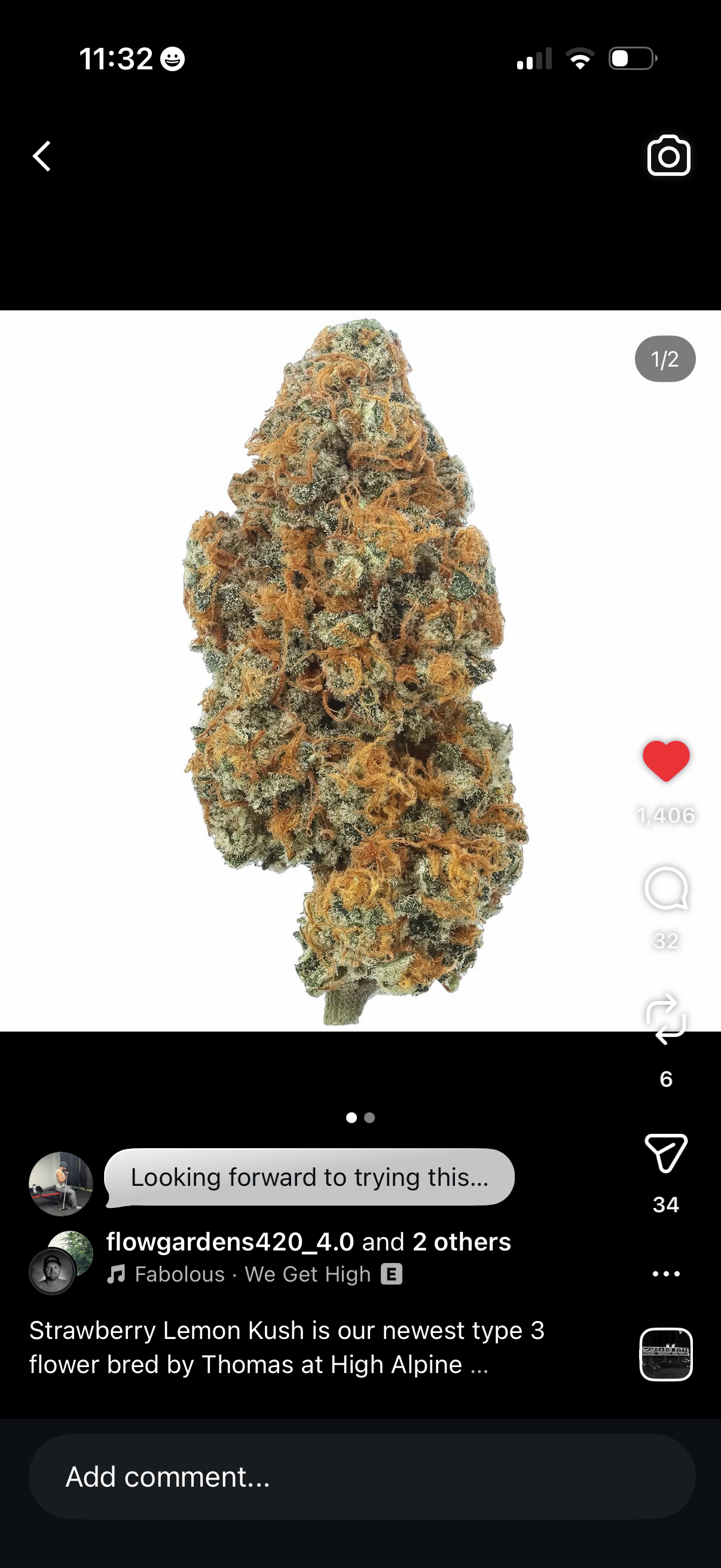 Strawberry Lemonade Kush Feminized Type 3 CBD Seeds (Strawberry Chem Line)