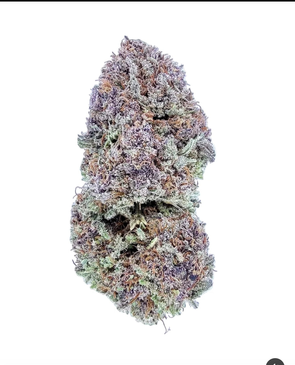 Demi-Glaze Feminized Type 3 CBD Seeds (Fruity Pebbles Line)