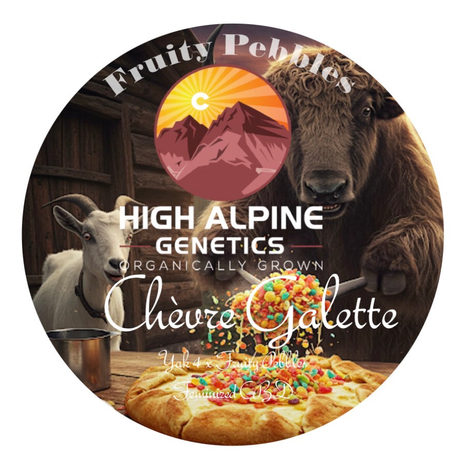 Chèvre Galette Type 3 CBD (Fruity Pebbles Line)