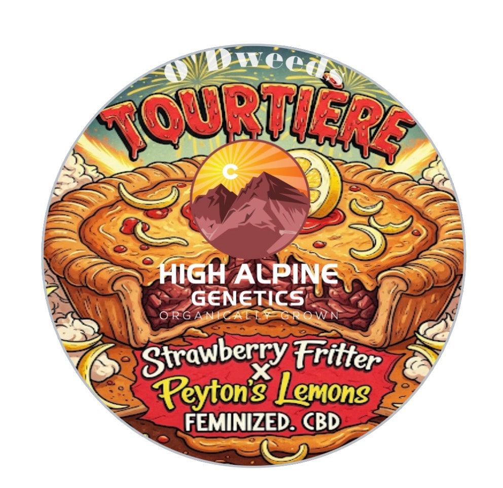 Tourtiere  Feminized Type 3 CBD Seeds (Payton's Lemons Line) Limited NOT Eligible for Monster Mash