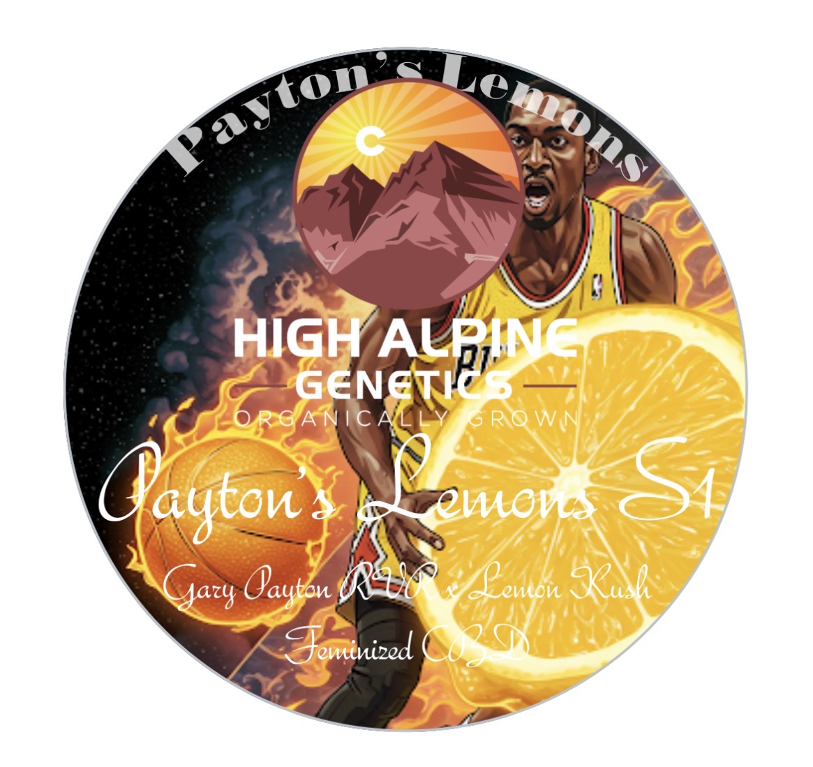 Payton's Lemons S1.  Feminized Type 3 CBD Seeds.  Payton's Lemons Line.