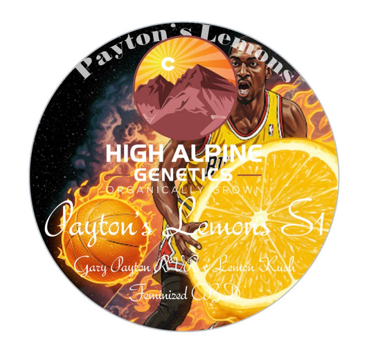 Payton's Lemons S1.  Feminized Type 3 CBD Seeds.  Payton's Lemons Line.